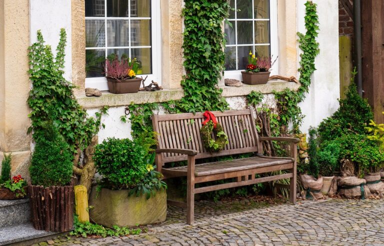 bench, facade, nature, garden, ivy, architecture, building, front yard, house